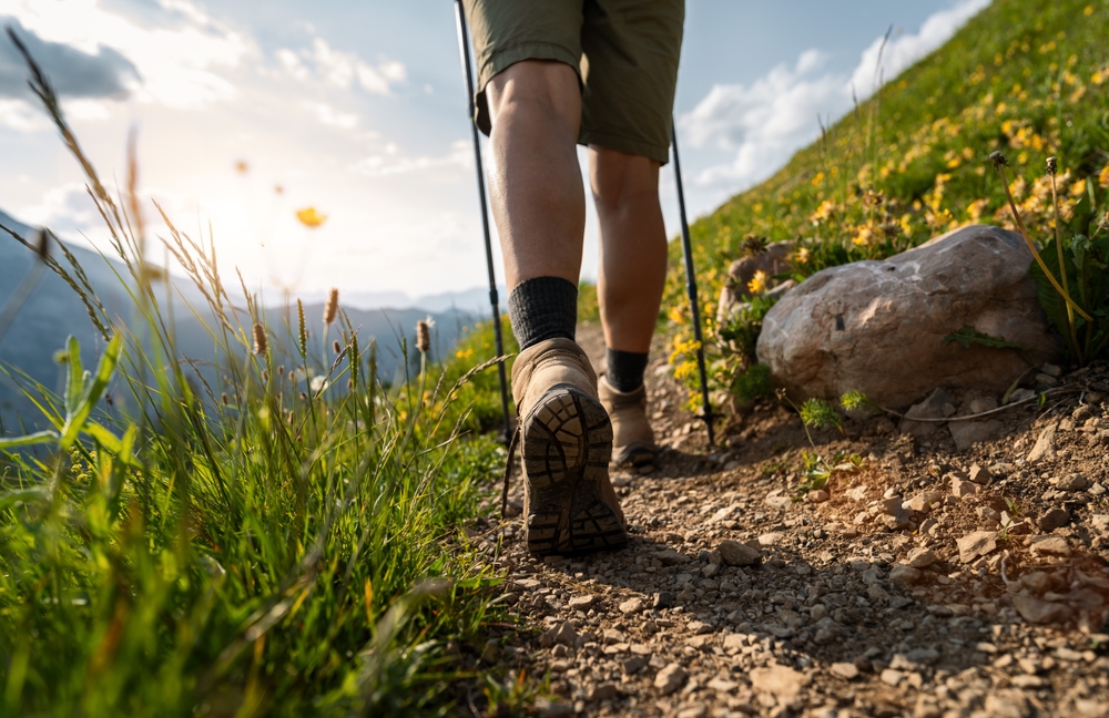 Post 5: Post Title Goes Here